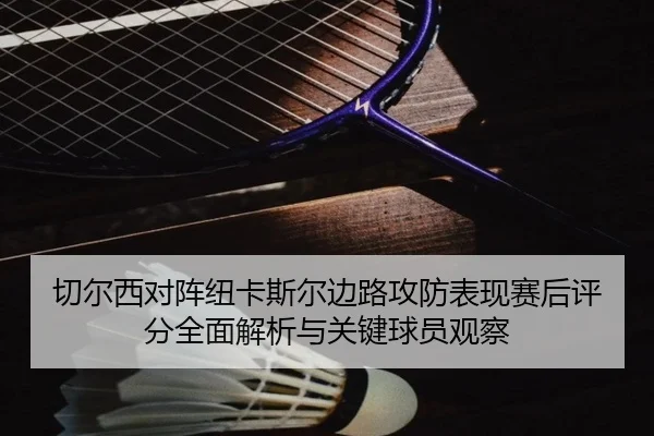 切尔西对阵纽卡斯尔边路攻防表现赛后评分全面解析与关键球员观察（pg）
