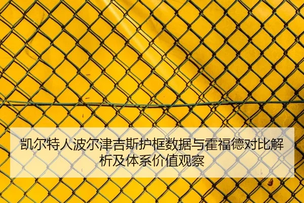 凯尔特人波尔津吉斯护框数据与霍福德对比解析及体系价值观察 | pg